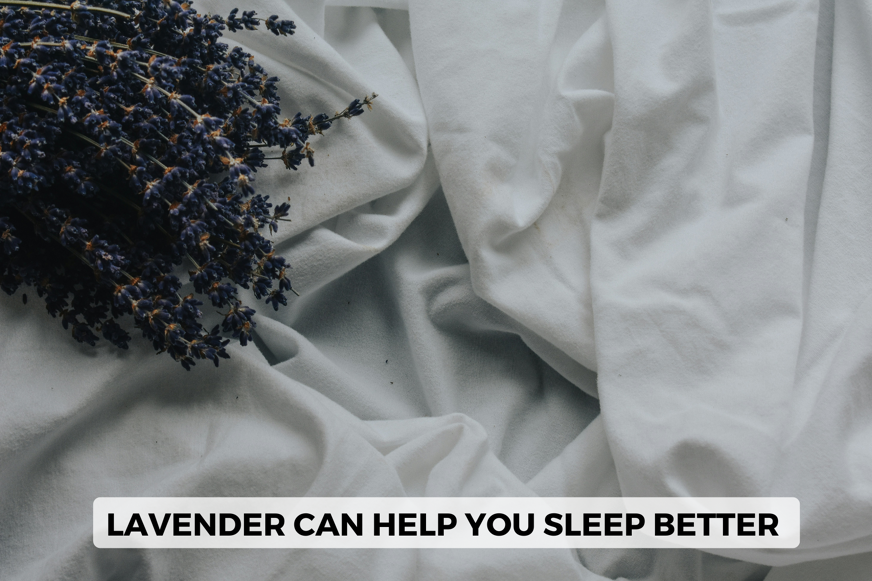 lavender as natural sleep aid